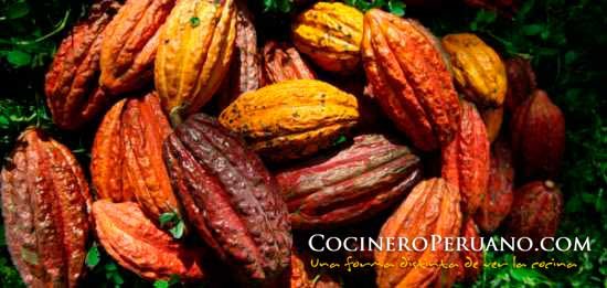 paisajes cacao